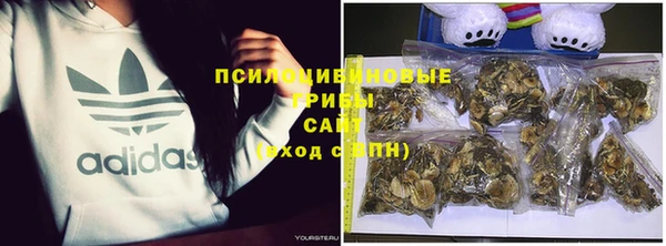 дмт Балабаново