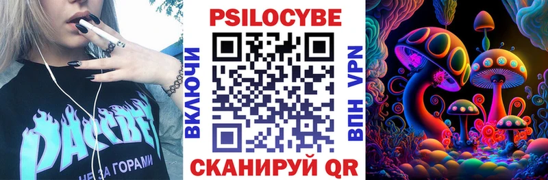 Галлюциногенные грибы Psilocybine cubensis  Грязовец 